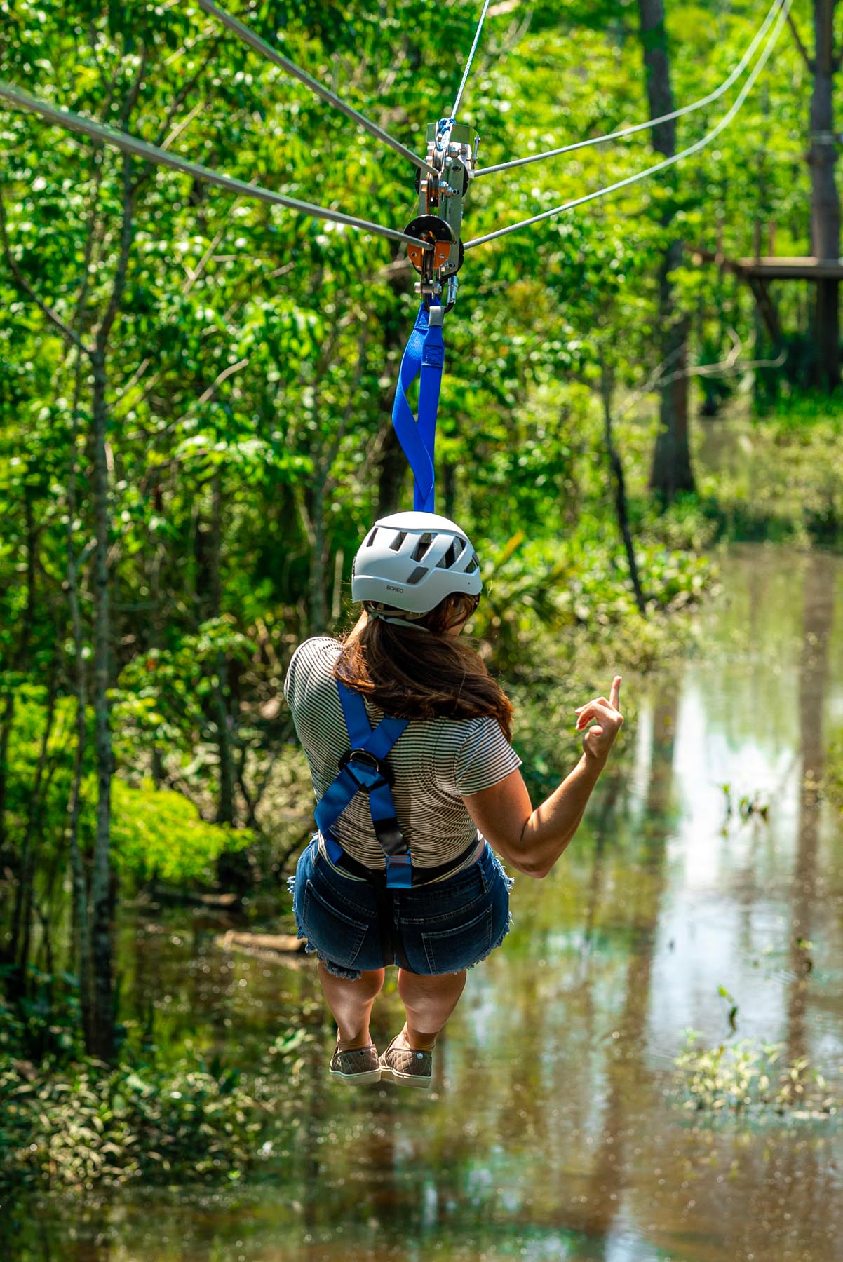 zipline swamp tour new orleans